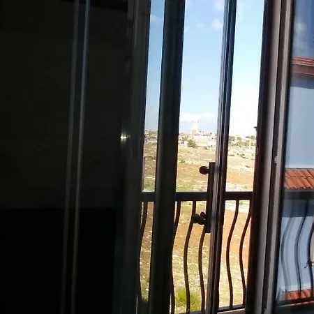 Aquila Reale Portopalo Di Capo Passero